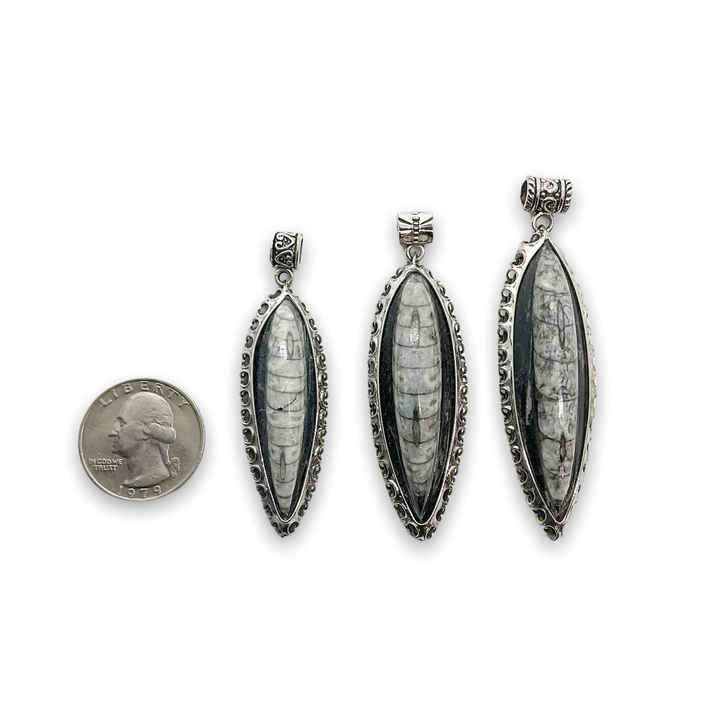 Orthoceras Fossil .925 Silver Jewelry