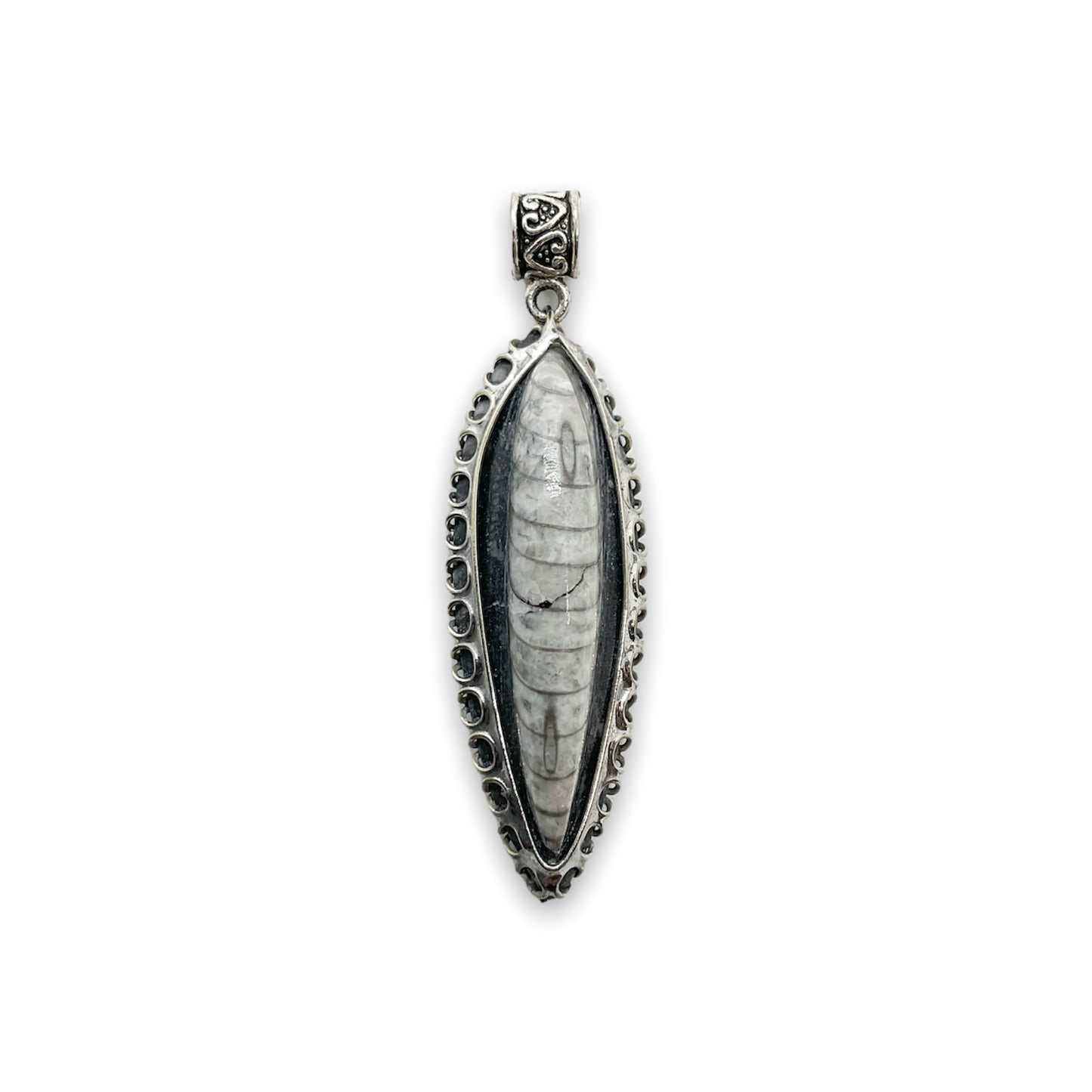Orthoceras Fossil .925 Silver Jewelry
