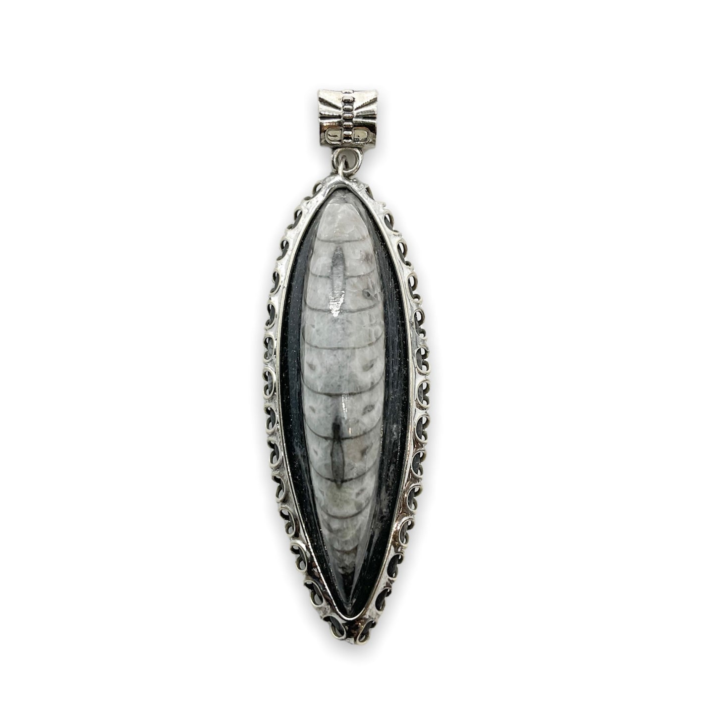 Orthoceras Fossil .925 Silver Jewelry