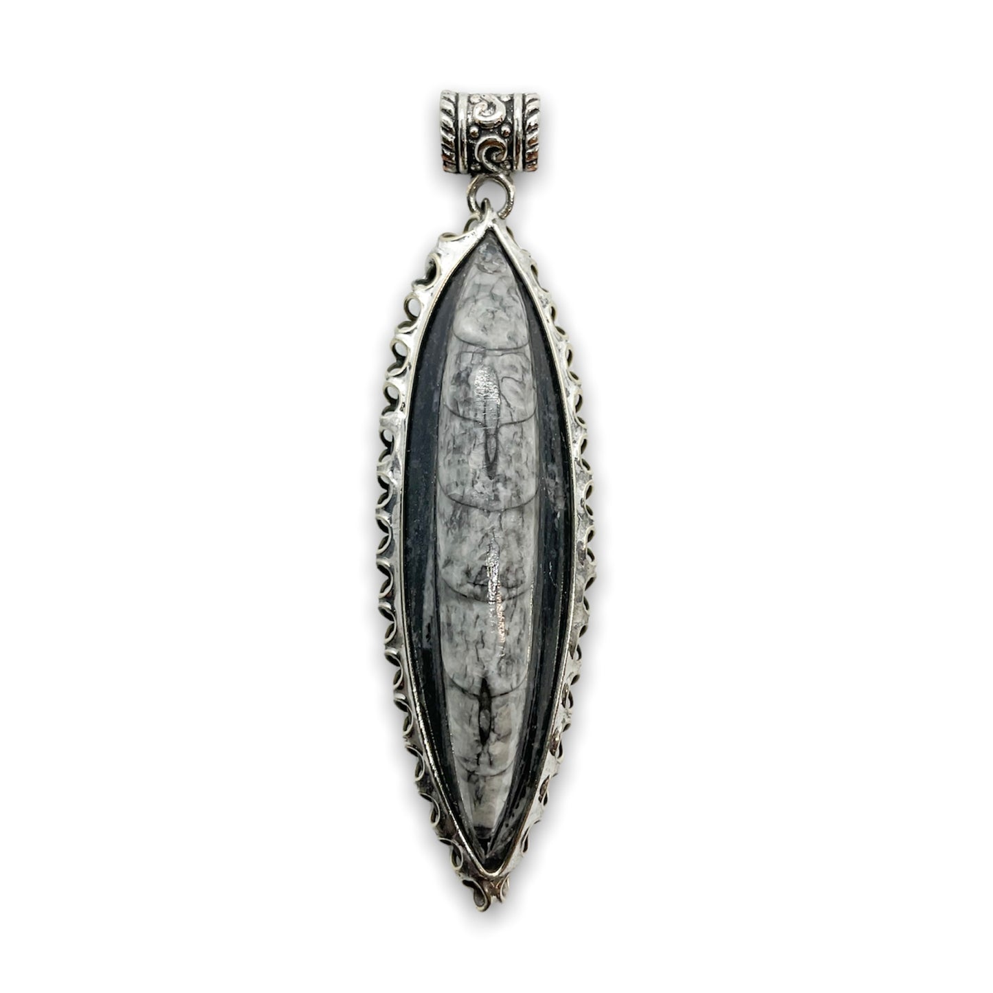 Orthoceras Fossil .925 Silver Jewelry