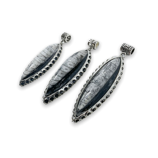 Orthoceras Fossil .925 Silver Jewelry